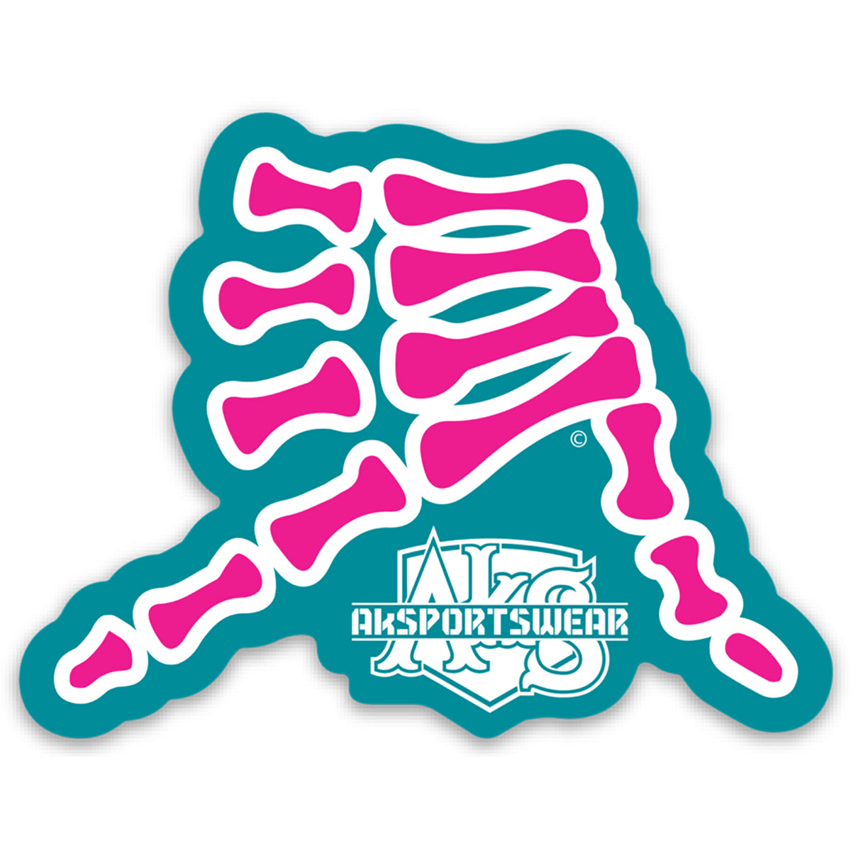 AkS Bones Stickers in Teal & Pink