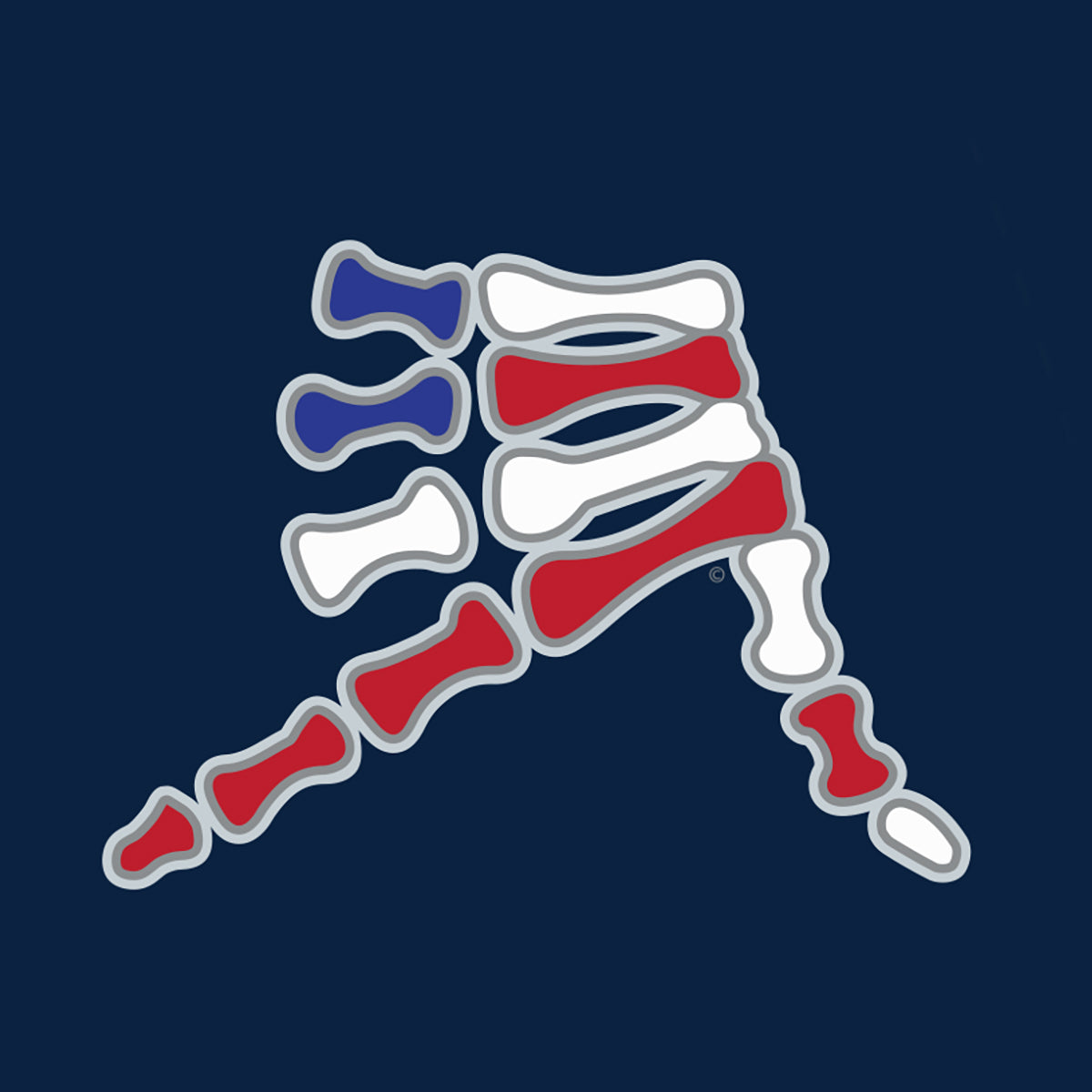 AkS Bones Stripes Cage Jacket in Navy